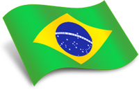BRAZIL Flag